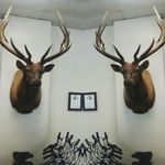 Nathan McClain - @nathan23panda - Instagram