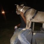 Nathan Mcclain - @pizzel313 - Instagram