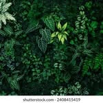 Nathaniel Mcclintock - @nathanielmcclintock494705 - Instagram