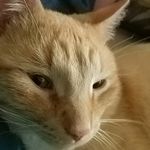 Nathan McCloud - @mccloud4343 - Instagram