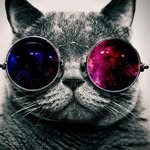 Nathan McCray - @nathan_mccray82 - Instagram
