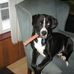 Nathan McCue - Facebook