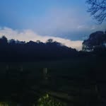 nathan_mcdonnell - @nathan_mcdonnell06 - Instagram