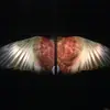 Nathan McFall - @atiqwar - TikTok