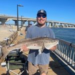 Nathan McGee - @nathanmcgee__ - Instagram
