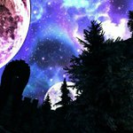Nathan Adam McPherson - @nathanmcphers0n - Instagram