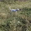 Nathan Mechlin - @nathan.mechlin - TikTok