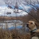 Nathan Mechlin - @nathanmechlin - Instagram