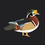 Nathan Hunter Medlin - @medlinnathanhunter - Instagram