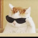 @samuel_nathan - @samuel_nathan_meneses - Instagram