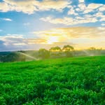 Nathan Mercuri - @country_aussie_photos - Instagram