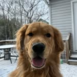 Nathan Messer - @messer5661 - Instagram