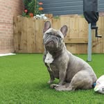 Nathan Millward - @millward685 - Instagram