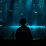 Nathan - @nathan.minerveo - Instagram