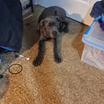 Nathan Minard - Facebook