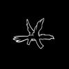 Nathanminard - @nath.minard - TikTok