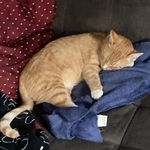 Nathan Minor - @natem1247 - Instagram