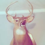 nate dog - @nathan_moak570 - Instagram