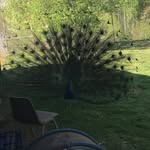 Nathan Moffitt - @nathan.moffitt.739 - Instagram