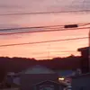 nathan mohler - @nathan.mohler - TikTok