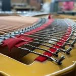 Nathan C. Mohney, Piano Technician - @carrierpianoworks - Instagram