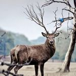 Nathan Monahan - @monahan.nathan - Instagram