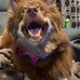 Nathan Moorman - Facebook