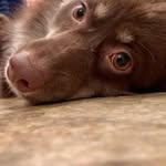 Nathan Moorman - @n8temoorman - Instagram
