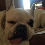 Nathan Moreau - @nathan.moreau.167 - Instagram