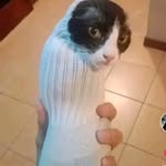 Nathan moreau - @nathanmoreau263 - Instagram