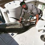 Nathan Morehead - @nathantm74 - Instagram