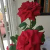 nathannmoretti10053 - @nathannmoretti10053 - TikTok