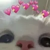 nathannalli - @nathannalli - TikTok