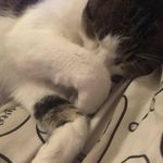 Nathan Naylor - @nathan_naylor17 - Instagram