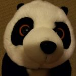 Nathan Neeley - @nathan.neeley - Instagram
