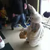 nathanellis83 - @nathanellis83 - TikTok