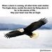 Nathan Nicholas - Facebook