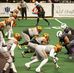 Nate Nicholson - Facebook