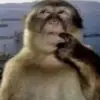 nathannicholson5 - @nathan.nicholson0 - TikTok