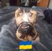 Nathan Nolan - Facebook