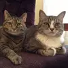 nathanoleary6 - @nathan.oleary - TikTok