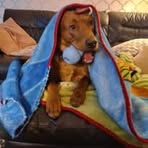 Nathan Olney - Facebook