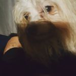 Nathan Benjamin Ormerod - @nathan.ormerod - Instagram
