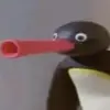 Nathan Orme - @365.days.of.pengu - TikTok
