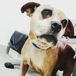Nathan Ormerod - @nathan4ormerod - Instagram