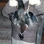 nathan overton - @animal_slayer814 - Instagram