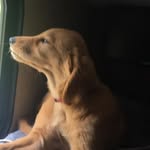 Nathan Overton - @nathan.overton.980 - Instagram