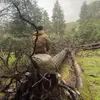nathanoverton15 - @nathanoverton15 - TikTok