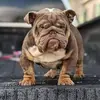 nathanpardue89 - @nathanpardue89 - TikTok
