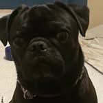 Nathan paredes - @nathanparedes3 - Instagram